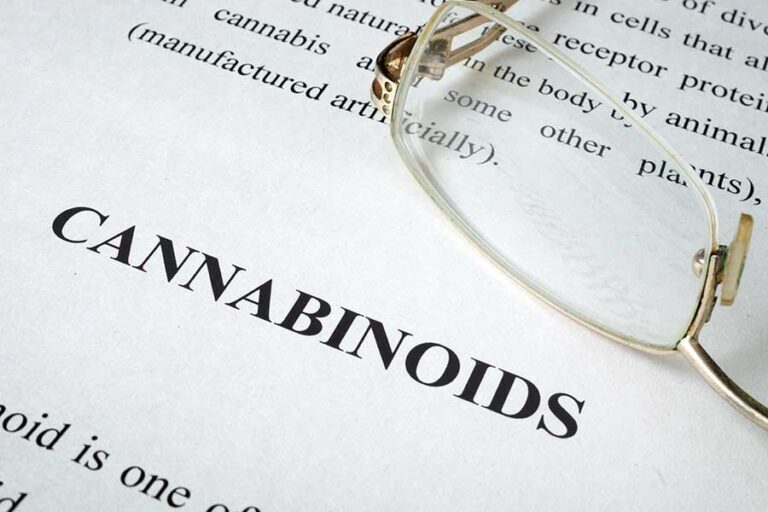 What Are Cannabinoids?