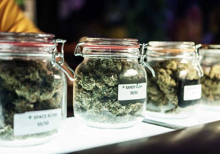Cultivar or Strain? Does it Matter?