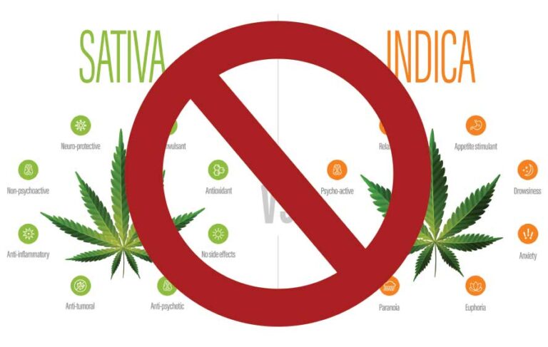Dispelling the Indica vs. Sativa Myth