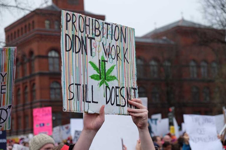 Unveiling the Research Gap: Challenging Cannabis’ Schedule 1 Classification